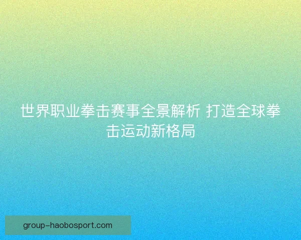 世界职业拳击赛事全景解析 打造全球拳击运动新格局 世界职业拳击赛事全景解析 打造全球拳击运动新格局